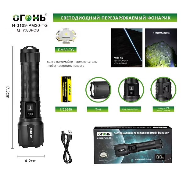 Fonarik ruchnoj svetodiodnyj H-3109-PM30-TG Fonarik ruchnoj svetodiodnyj H-3109-PM30-TG