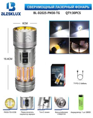 Fonar' ruchnoj BL-D2025-PM30-TG+COB 3