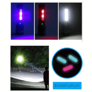Fonar' ruchnoj BL-F6034-PM10-TG+9SMD svetodiodnyj 5