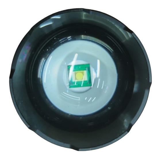 Fonar' ruchnoj Blesklux BL-G800-3-PM90-TG 1 Fonar' ruchnoj Blesklux BL-G800-3-PM90-TG 1
